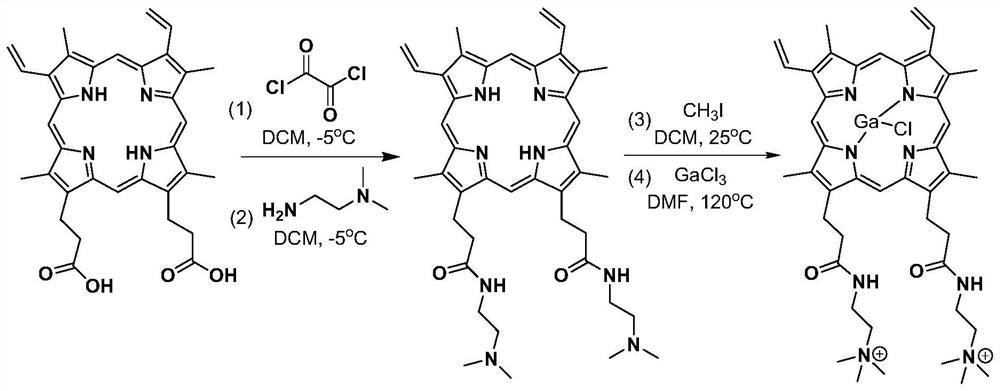 Ion-modified gallium protoporphyrin compound as well as preparation method and application thereof