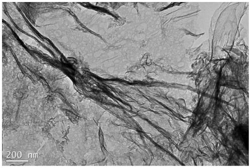 Oxygen-doped porous carbon nitride nanosheets and preparation method thereof