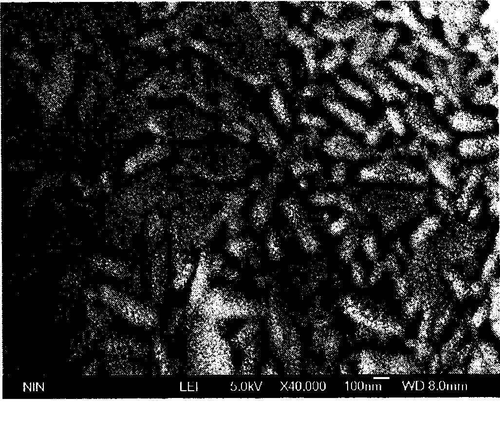 Method of manufacturing nano-strontium ferrite film