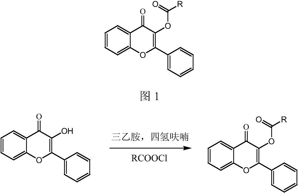 High-specificity fluorescent probe of human carboxylesterase CES2 and application thereof