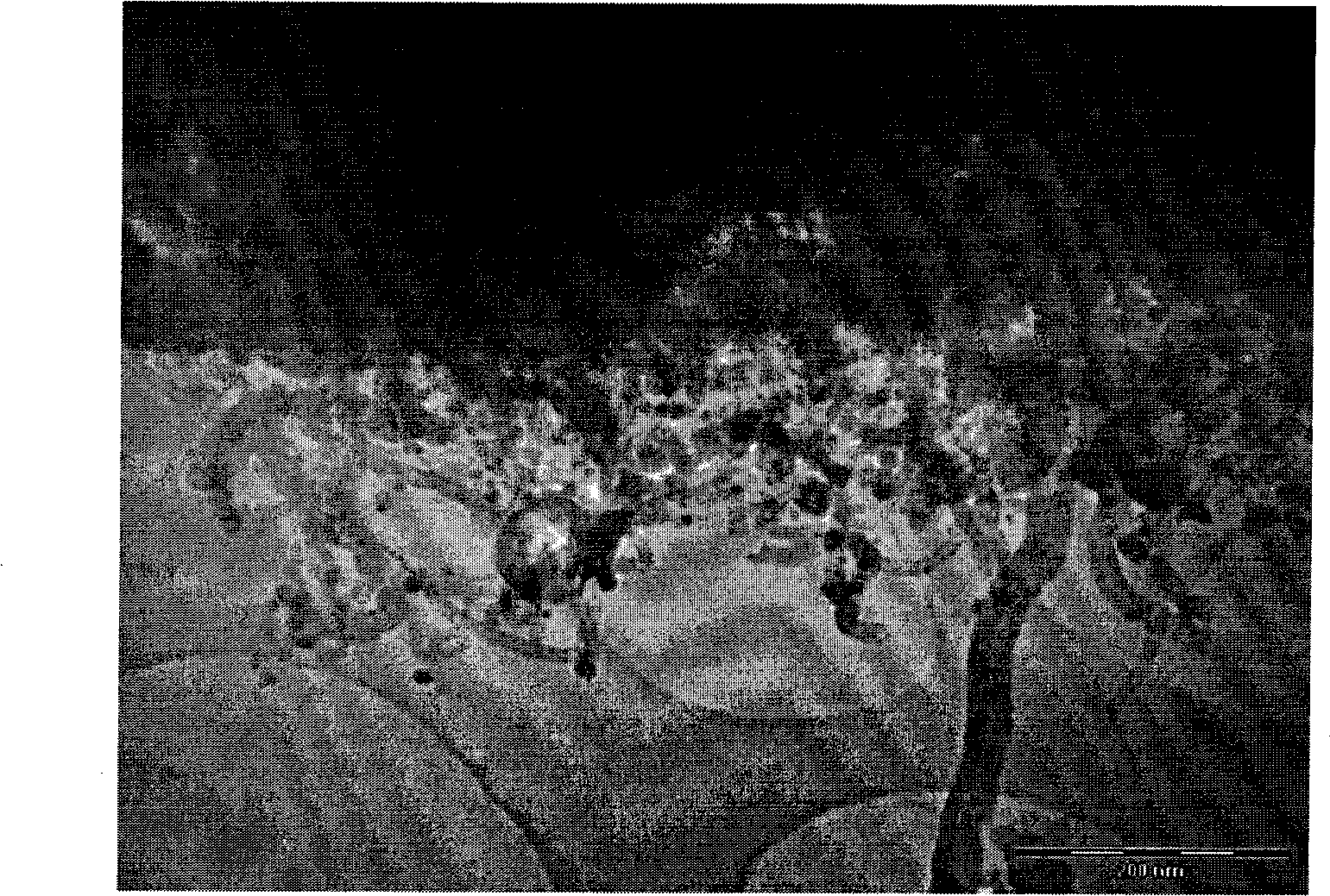 Method for preparing lithium iron phosphate/nanometer carbon composite anode material