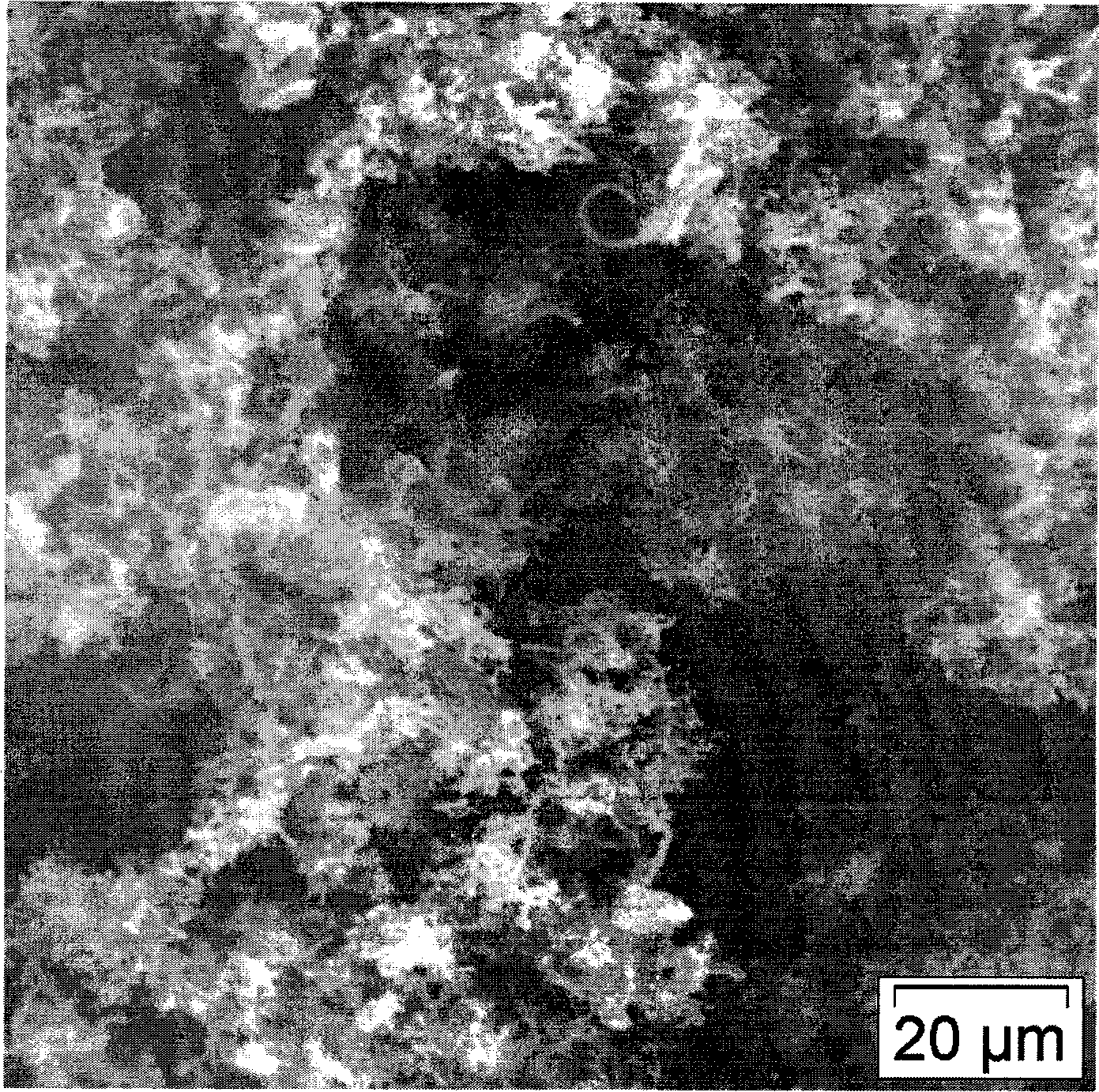 Method for preparing lithium iron phosphate/nanometer carbon composite anode material