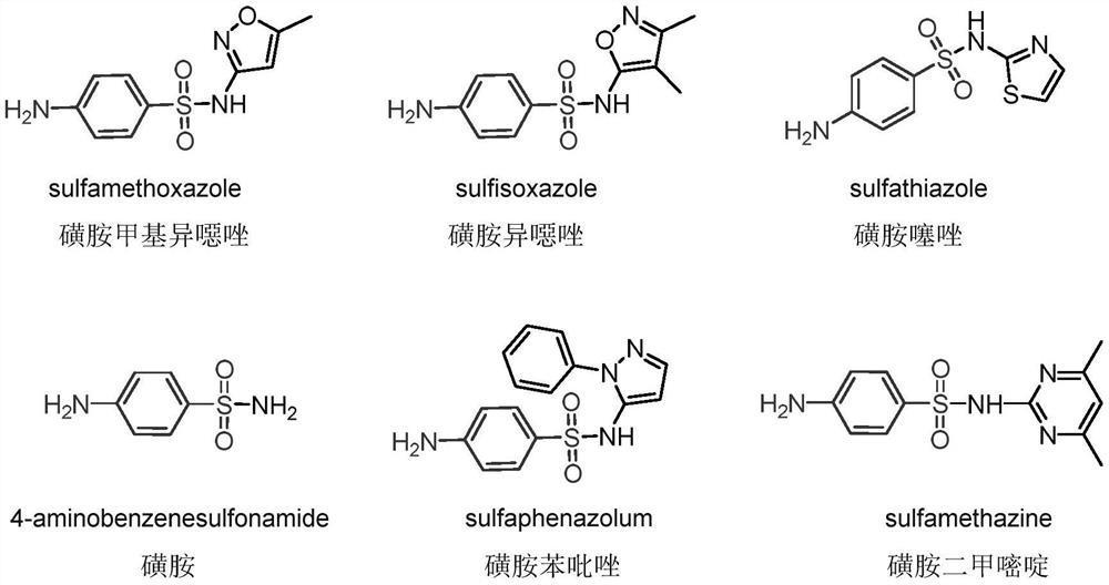 Method for producing p-acetamidobenzenesulfonyl chloride by double temperature zone two-stage method based on continuous flow reaction