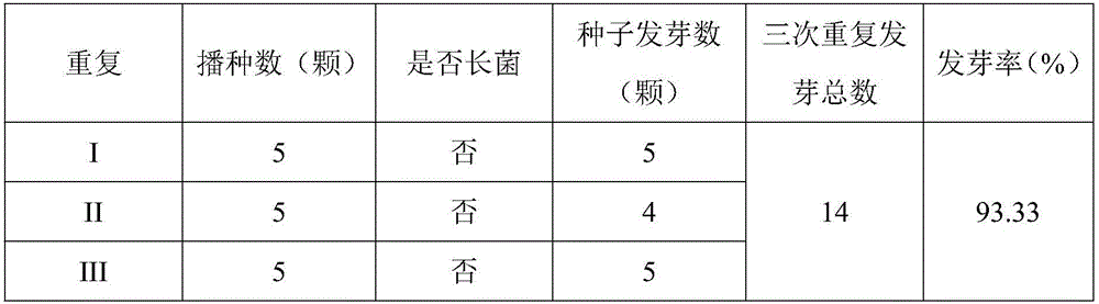 Method for culturing sterile paddy seedlings