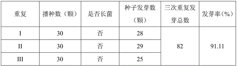 Method for culturing sterile paddy seedlings