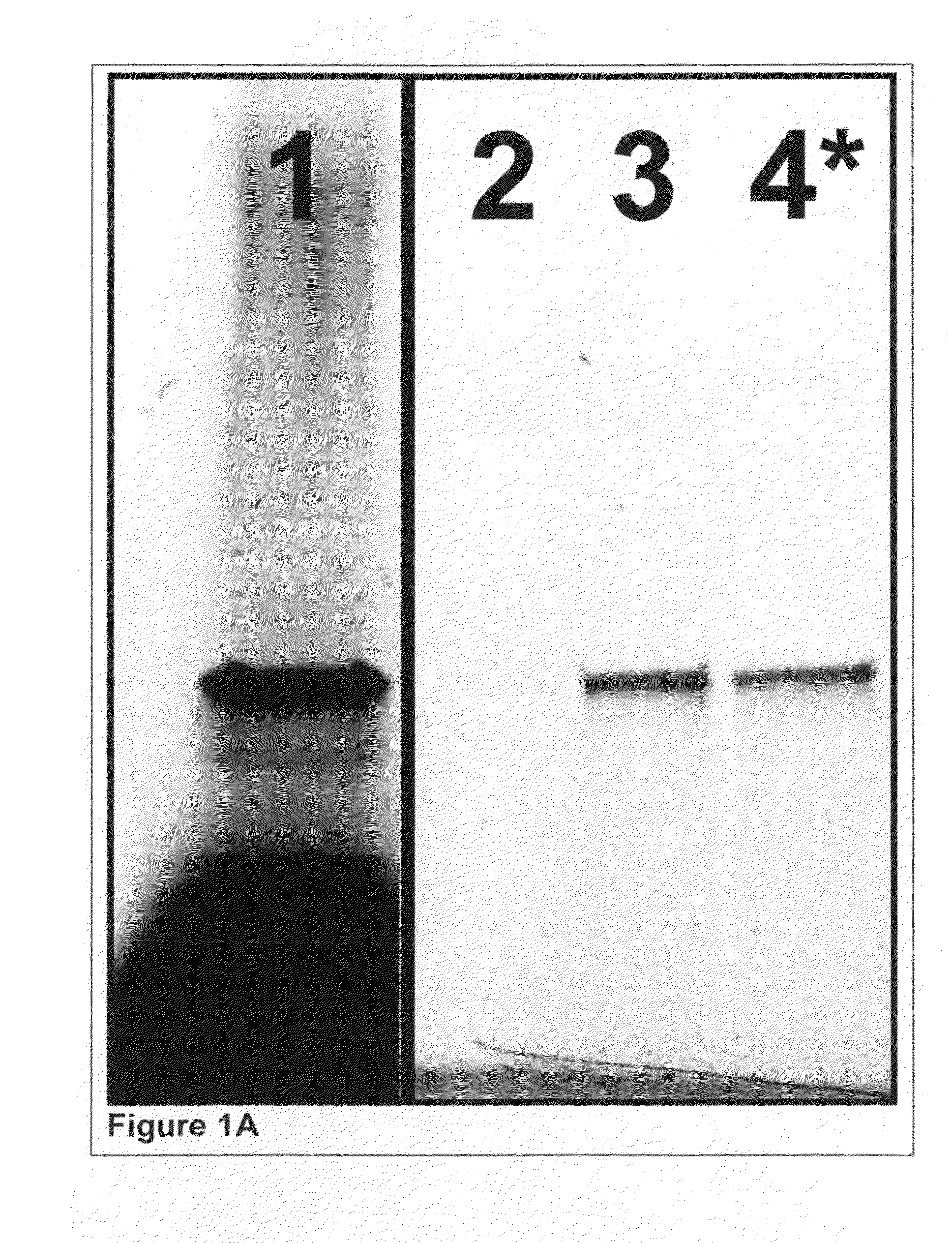 Methods for enriching subpopulations