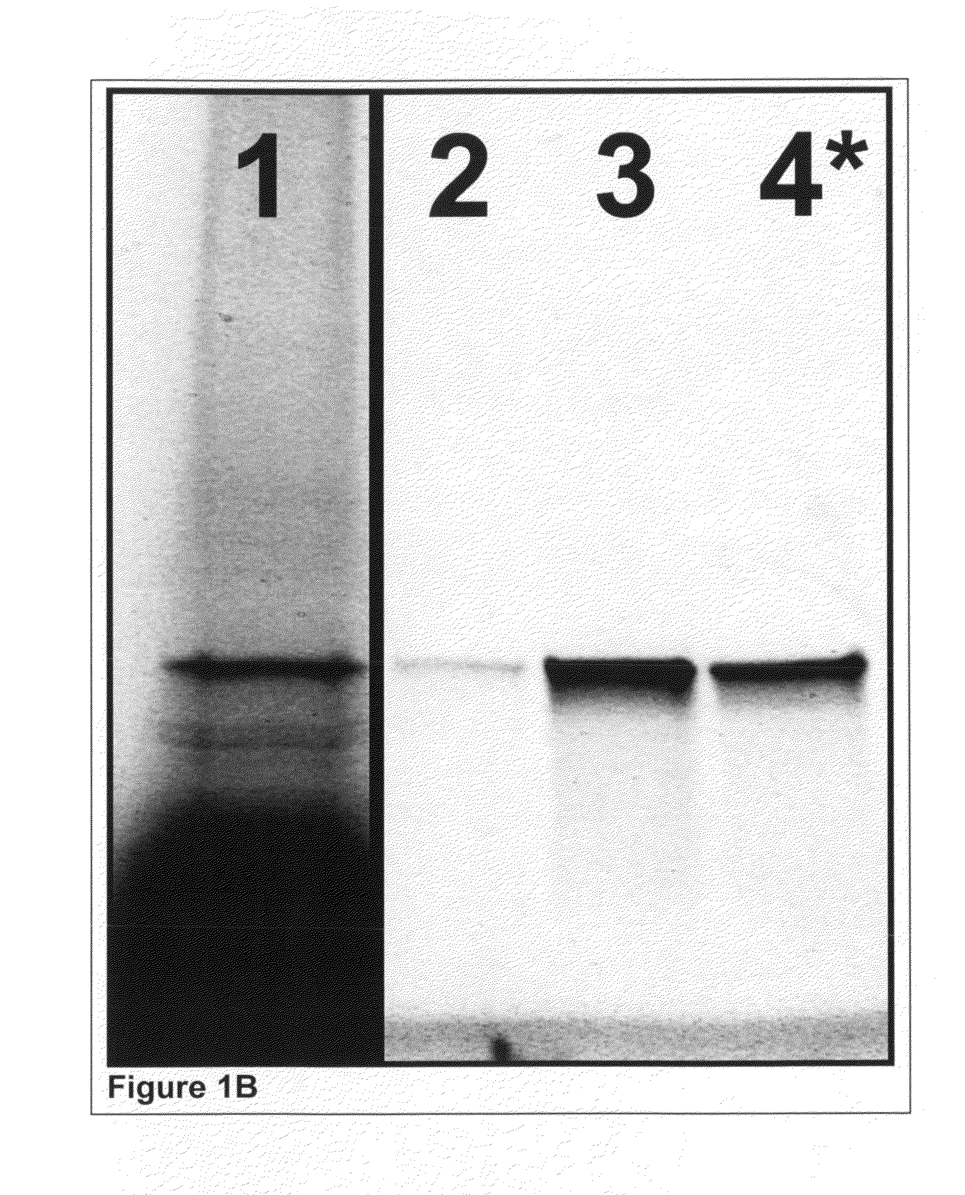 Methods for enriching subpopulations