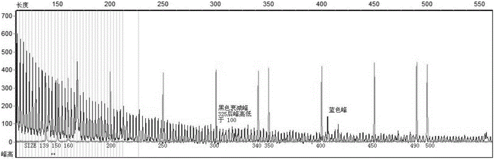 Kit for detecting related gene FMR1 of fragile X chromosome syndrome (FRAX) and application of kit