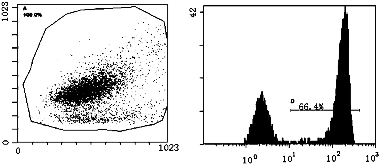 Anti-EGFRvIII safe chimeric antigen receptor and preparation method thereof, NK cell modified by anti-EGFRvIII safe chimeric antigen receptor and application of anti-EGFRvIII safe chimeric antigen receptor