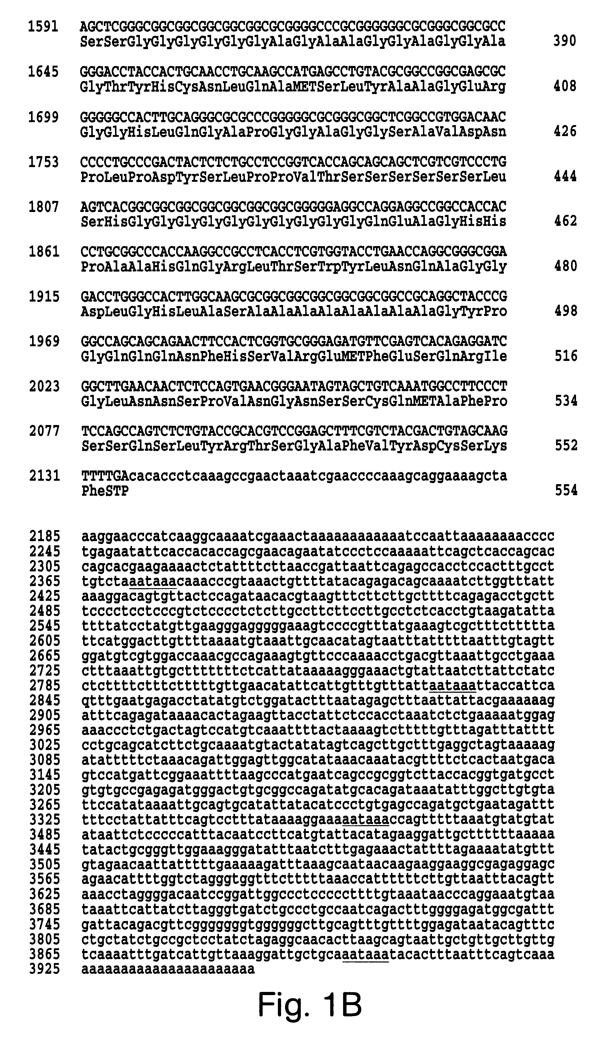 Glaucoma therapeutics and diagnostics based on a novel human transcription factor