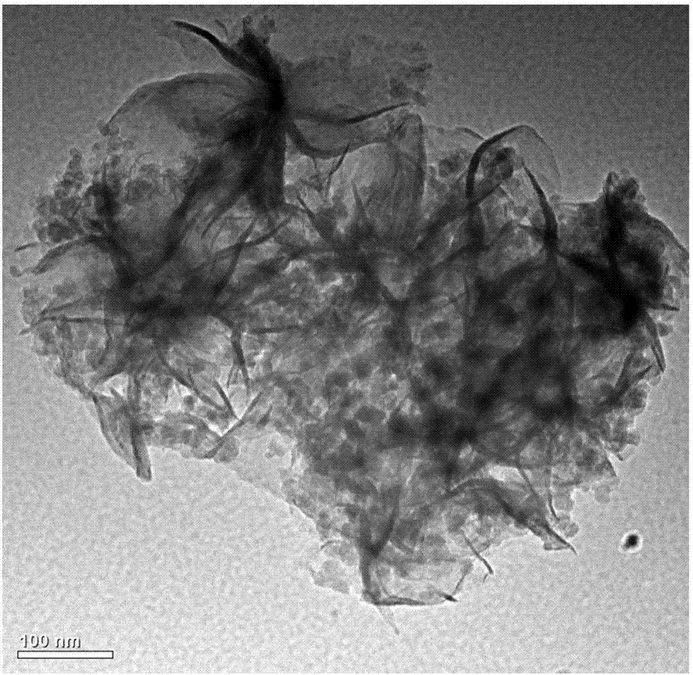 Preparation method and application of Z-type magnetic nanocomposite MoS2/CoFe2O4 photocatalyst