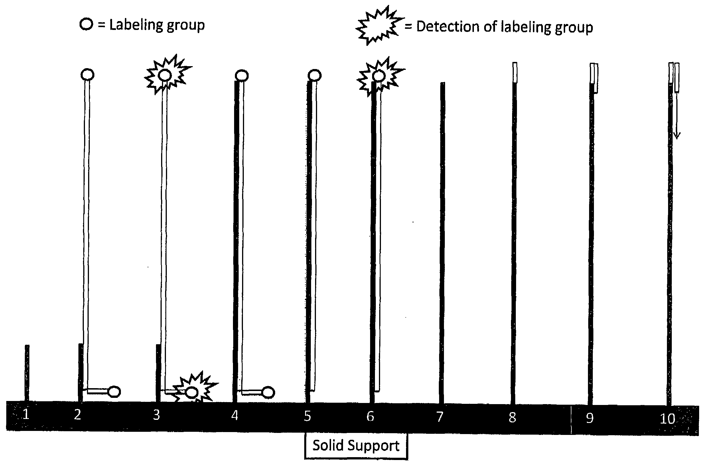 RNA sequencing and analysis using solid support