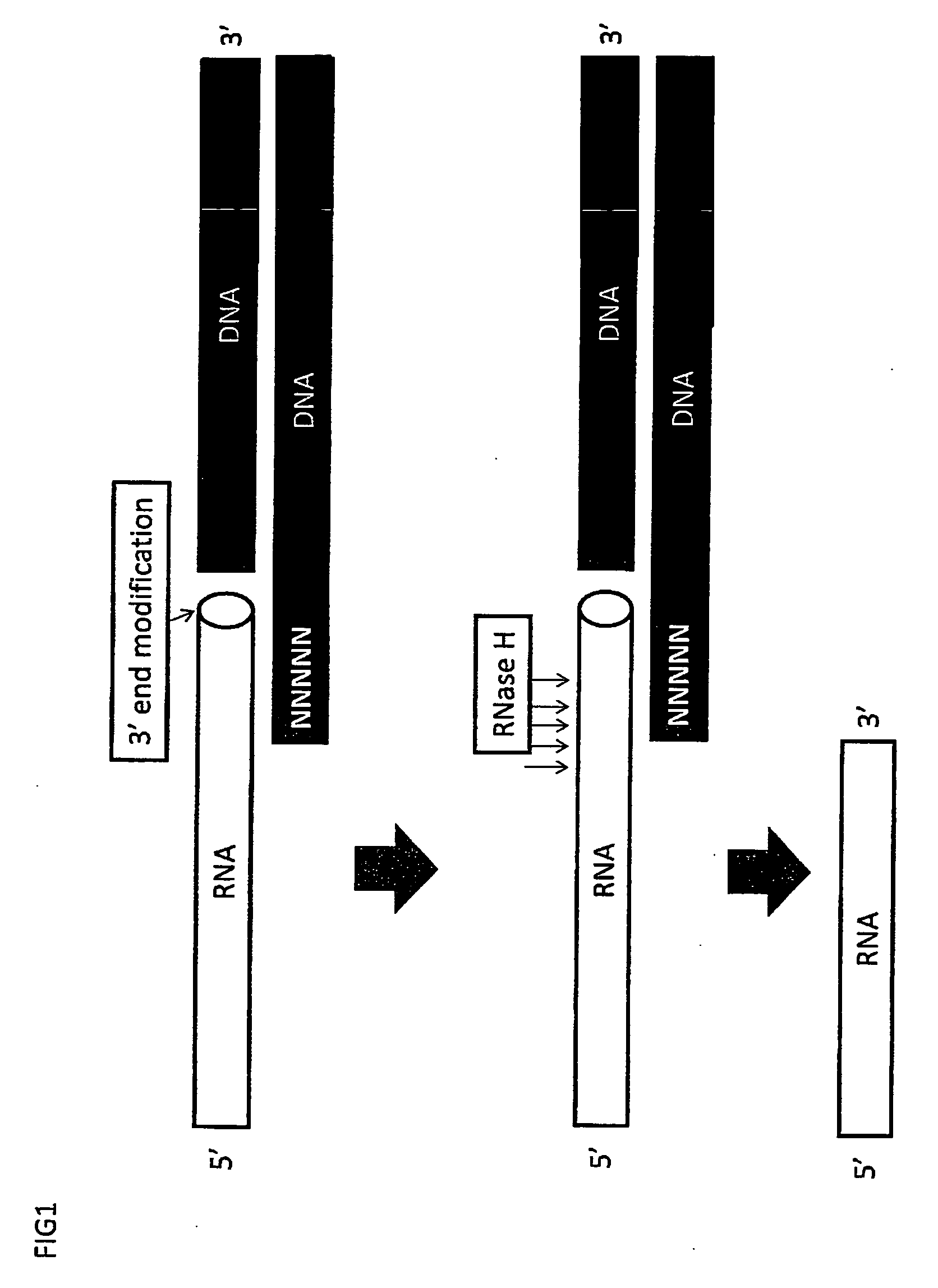 RNA sequencing and analysis using solid support