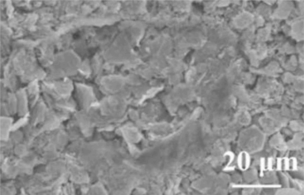 Zinc ion battery and preparation method thereof