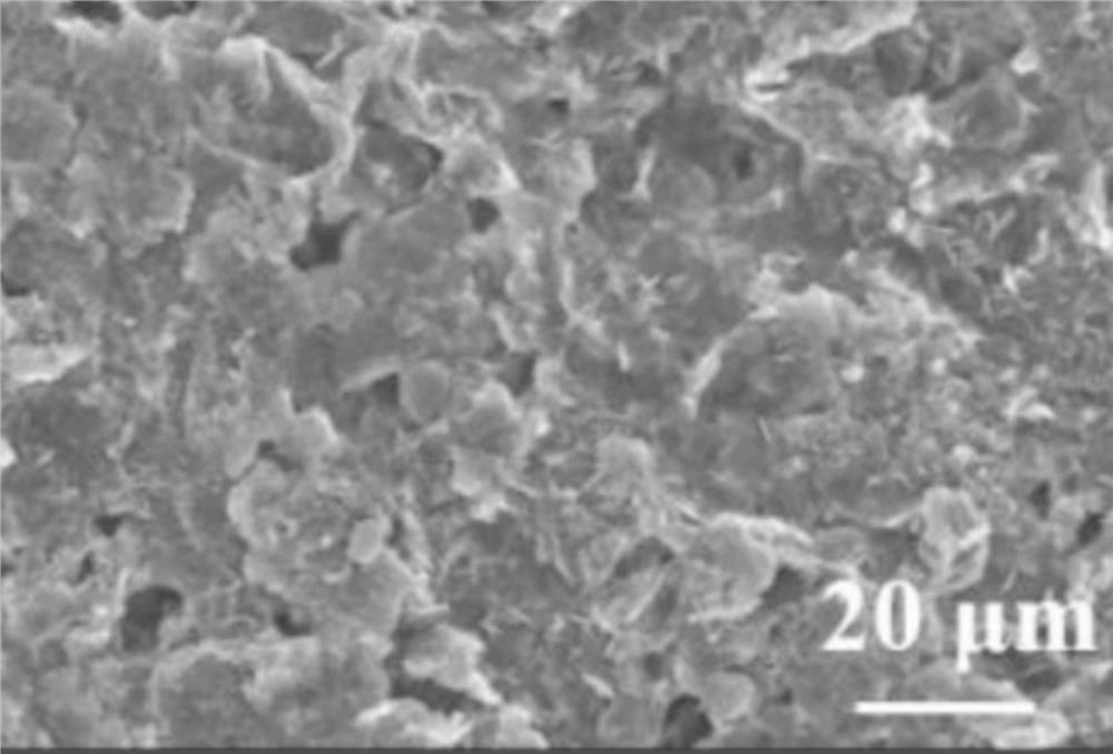 Zinc ion battery and preparation method thereof