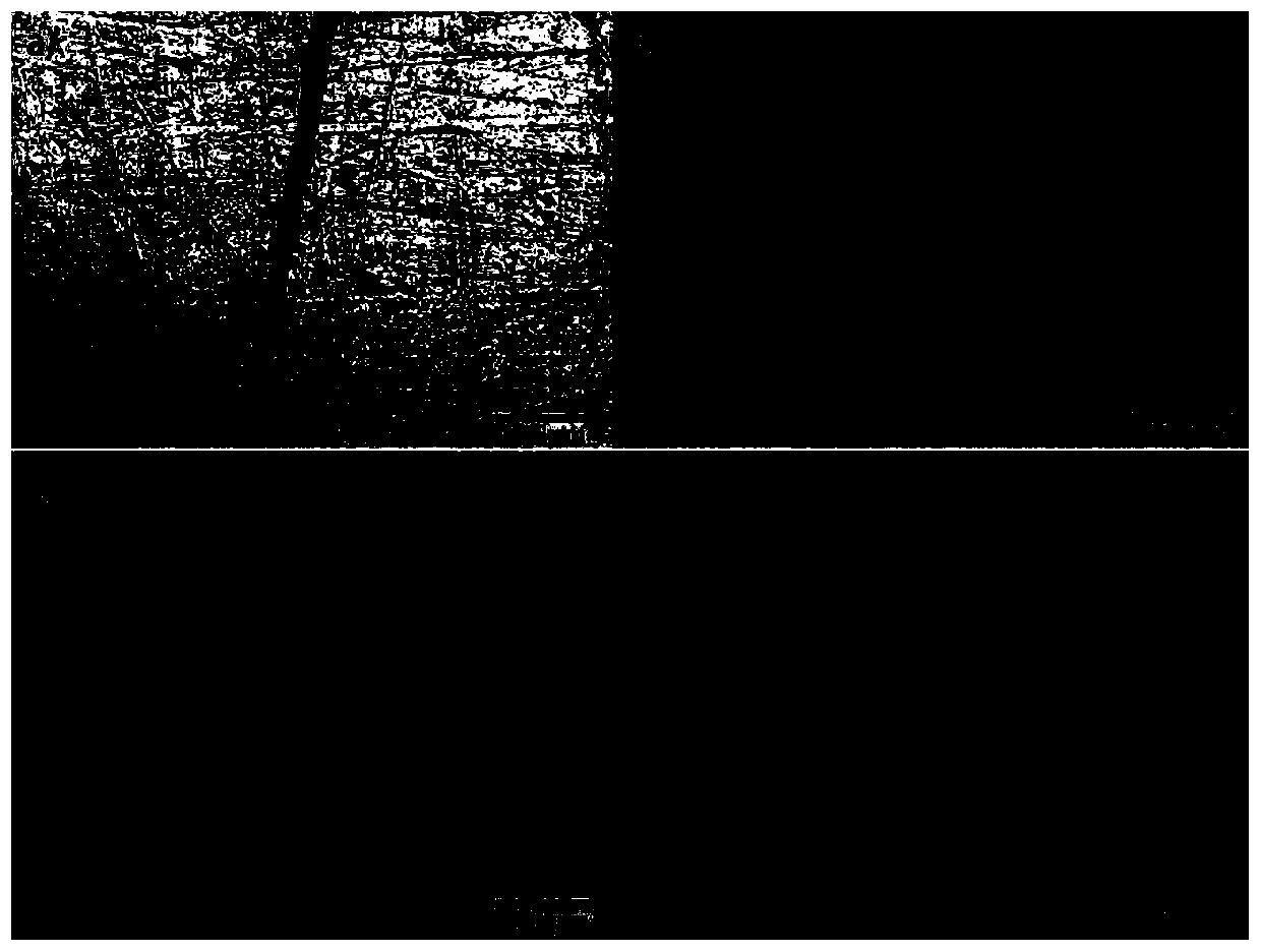 Intrinsic self-repairing and recyclable polythiourea polymer, and preparation method and application thereof