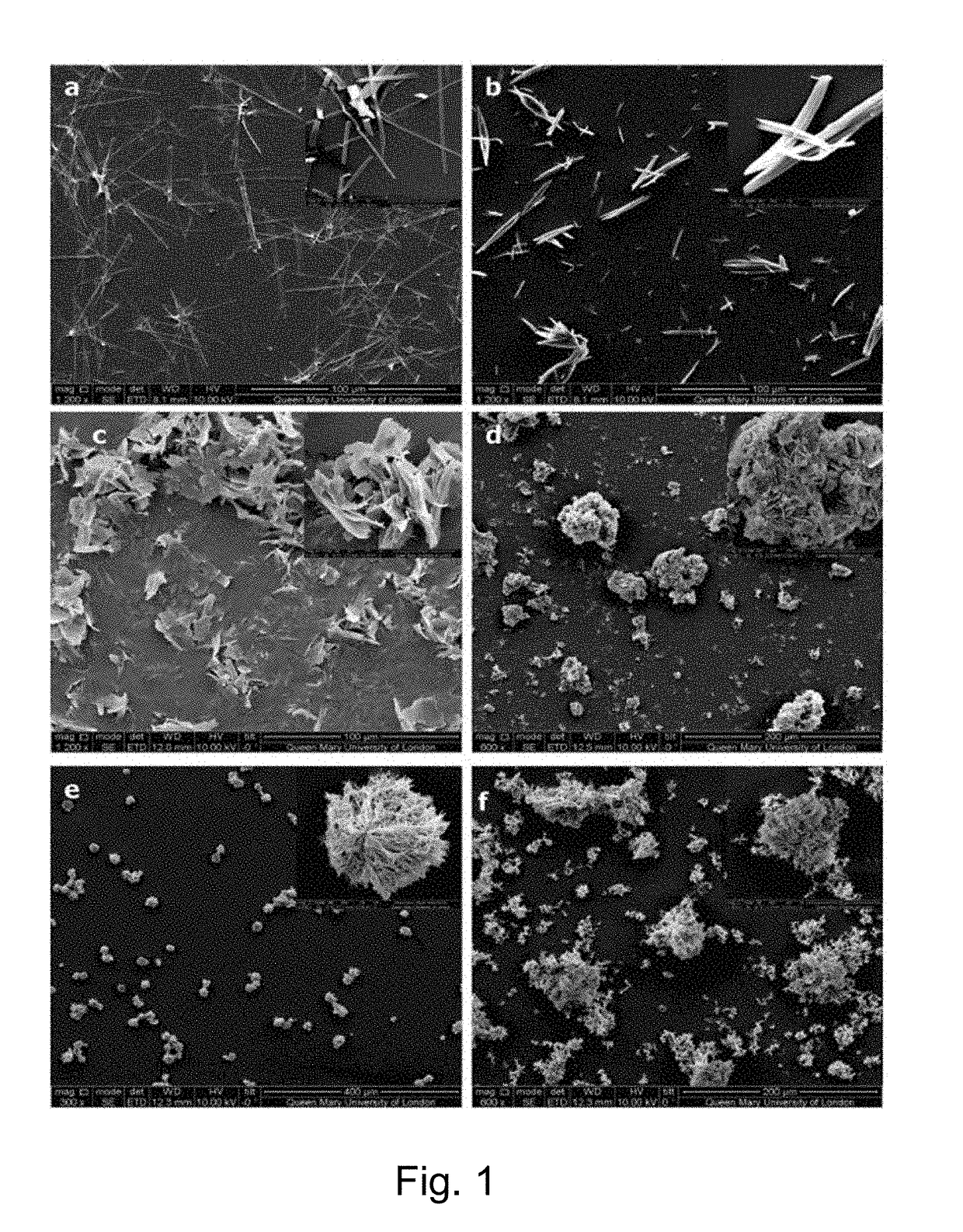 Chlorhexidine crystal forms and uses thereof in medicine