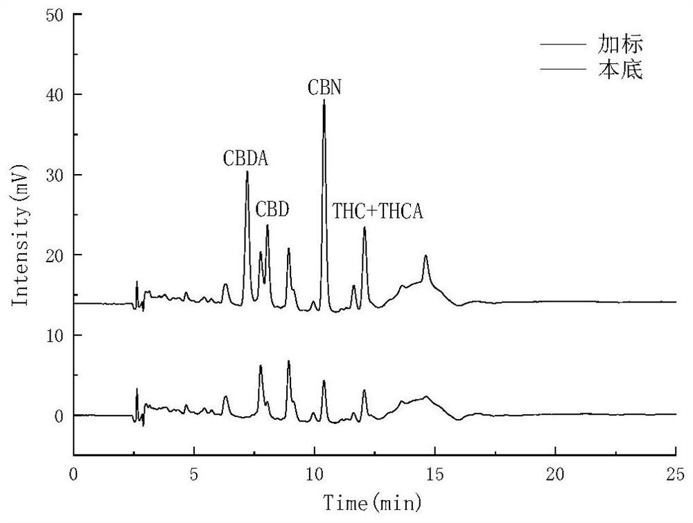 Method for detecting five cannabinol compounds in cannabis oil by utilizing HPLC method