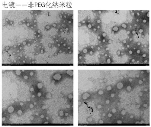 Hydroxycamptothecine linoleate micromolecular prodrug and construction of self-assembled nanoparticles