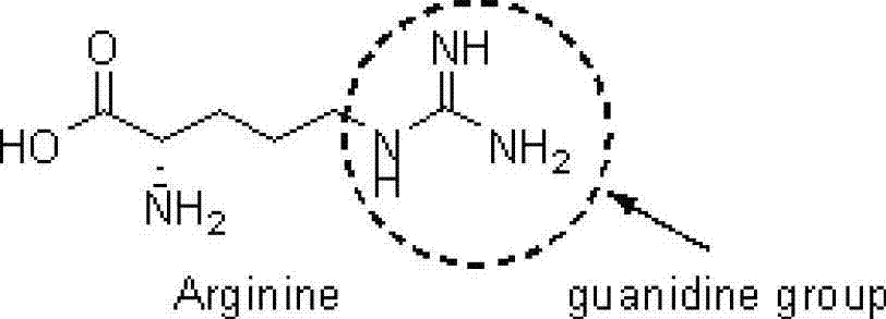 Preparation method for chiral pentabasic bicyclic guanidine based on aziridine