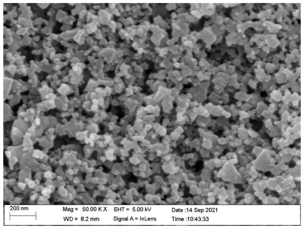 Biomimetic mechanical active hydrogel adhesive and preparation method thereof