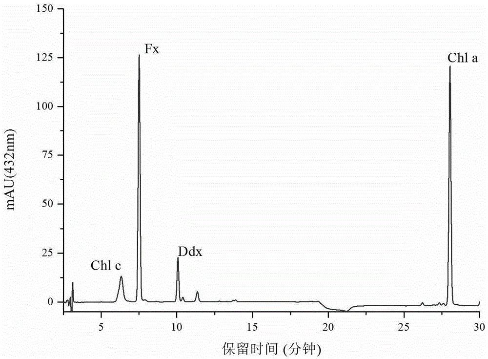 A method for extracting and separating fucoxanthin from marine unicellular diatoms