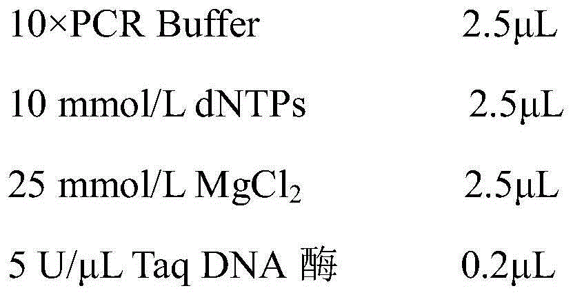 Molecularly specific labeling primers of sakura variety 'Hirano Moseu' and detection method thereof