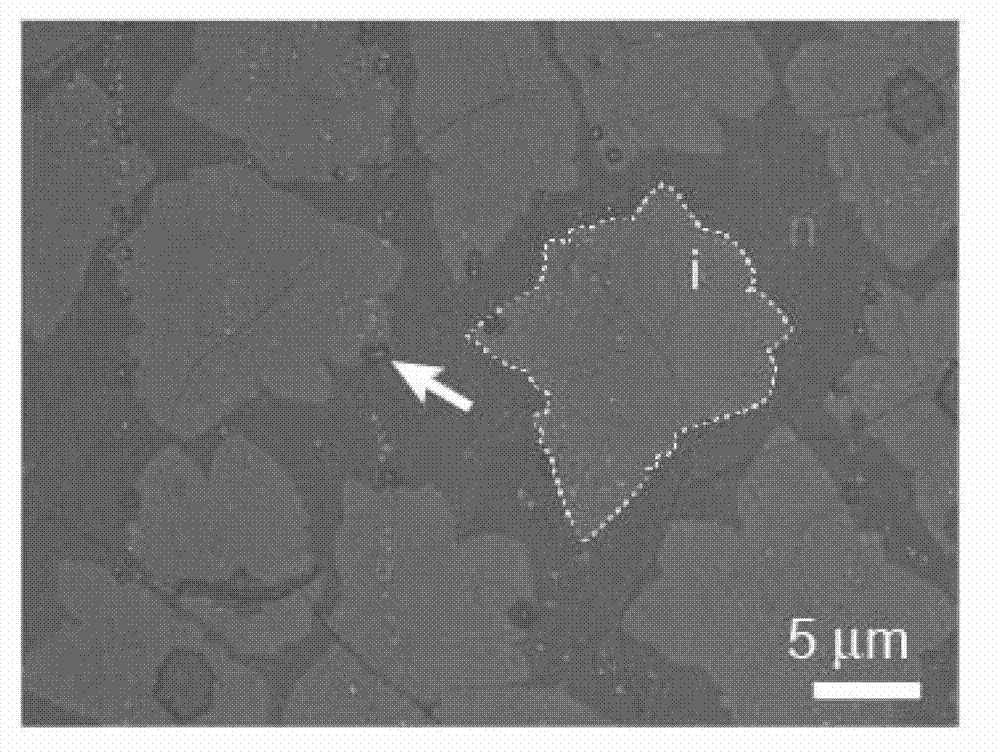 Single crystal graphene pn node and preparation method thereof