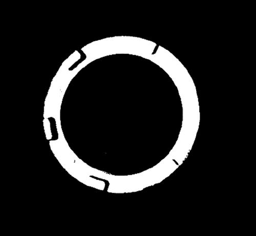 Visual identification method for water pump impeller ring