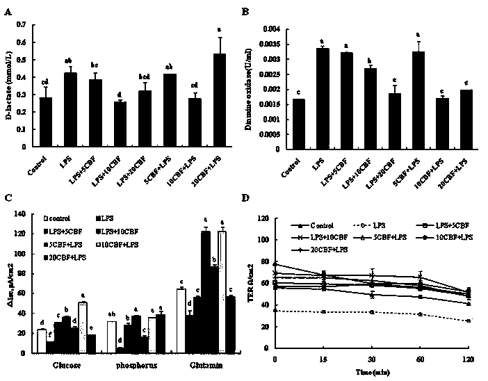 Rat-pig intestinal epithelial cell integrated model established by lipopolysaccharide (LPS) stimulation