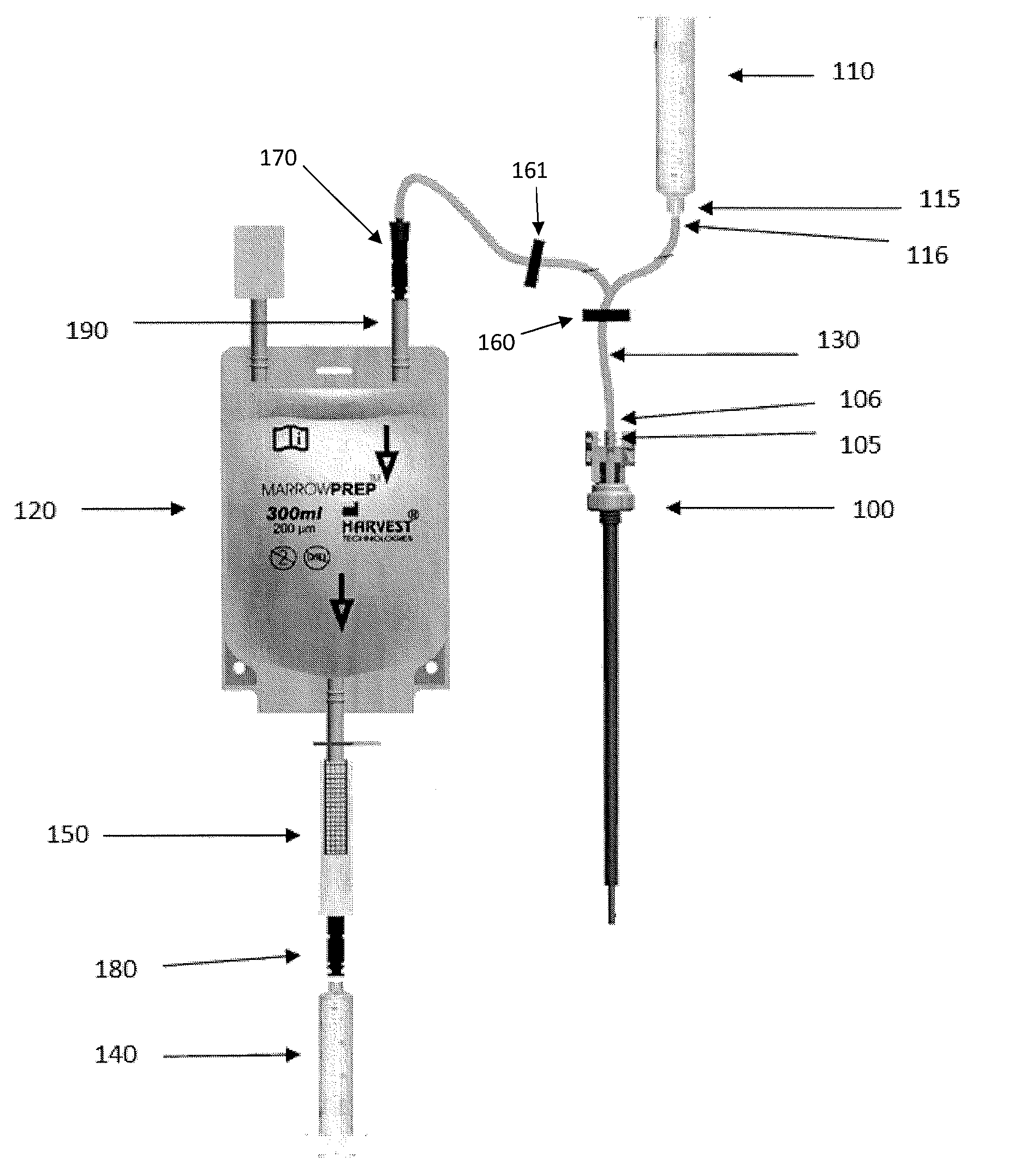 System for collecting and processing bone marrow