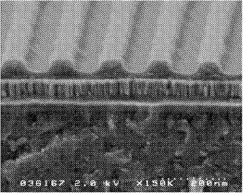 Curable composition for transfer material and pattern formation method