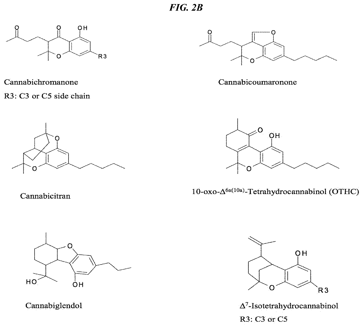 Recombinant production systems for prenylated polyketides of the cannabinoid family