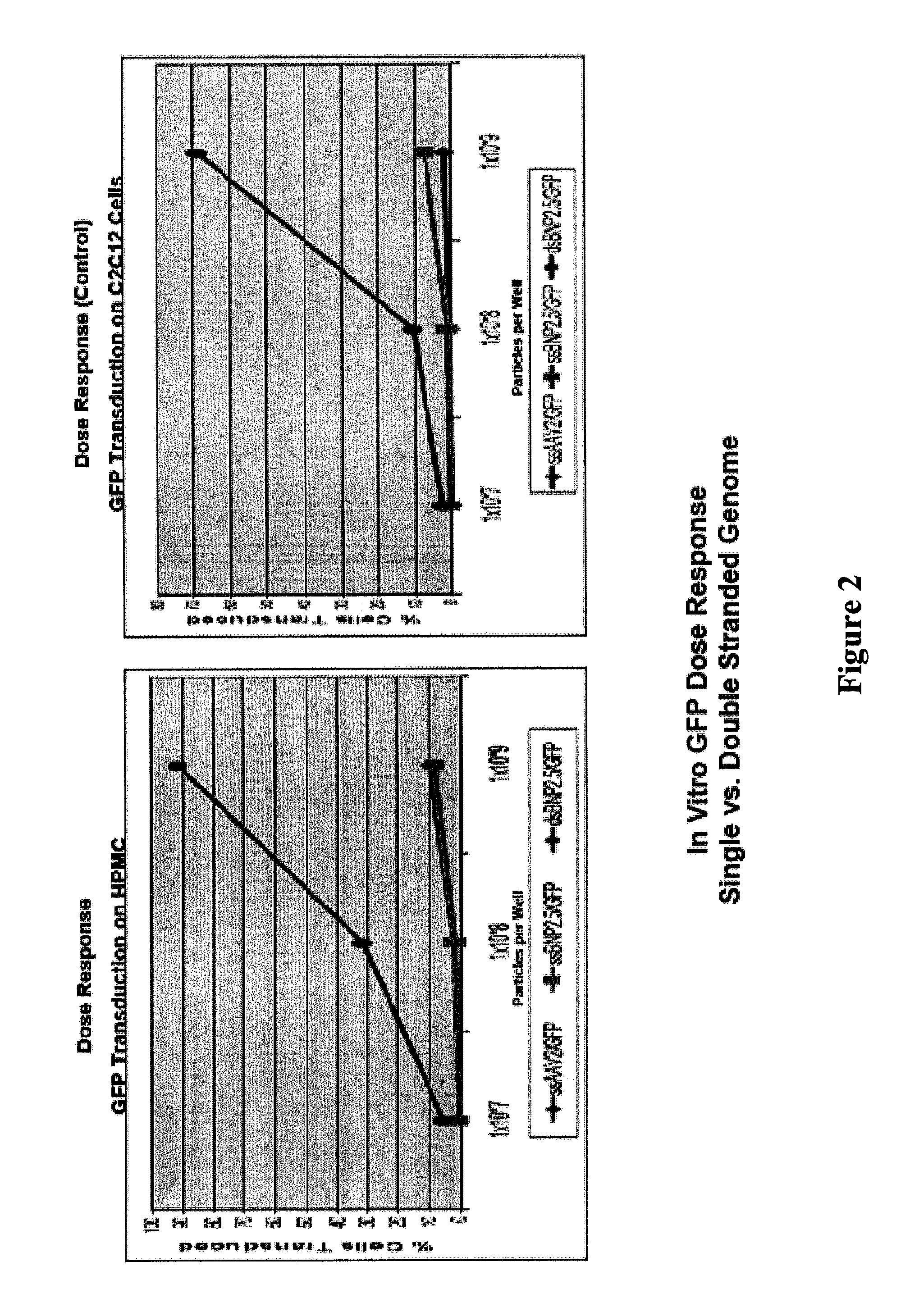 Modified factor VIII and factor IX genes and vectors for gene therapy