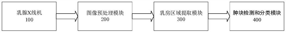 Mammary gland lump image processing and classifying system