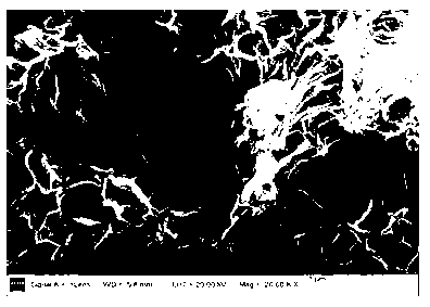 Nickel-based nickel titanium hydrotalcite film material, preparation method and application thereof