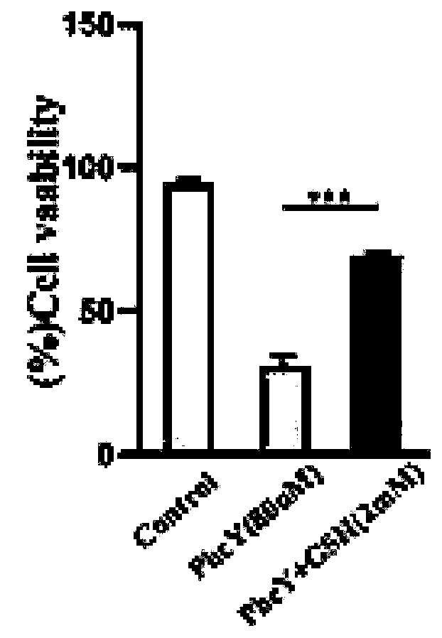 Novel heterocyclic aromatic hydrazone derivative, pharmaceutically acceptable salt, preparation method and application thereof