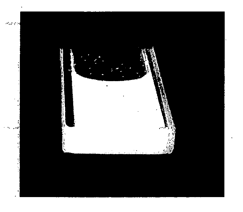 White light emitting organogel and process thereof