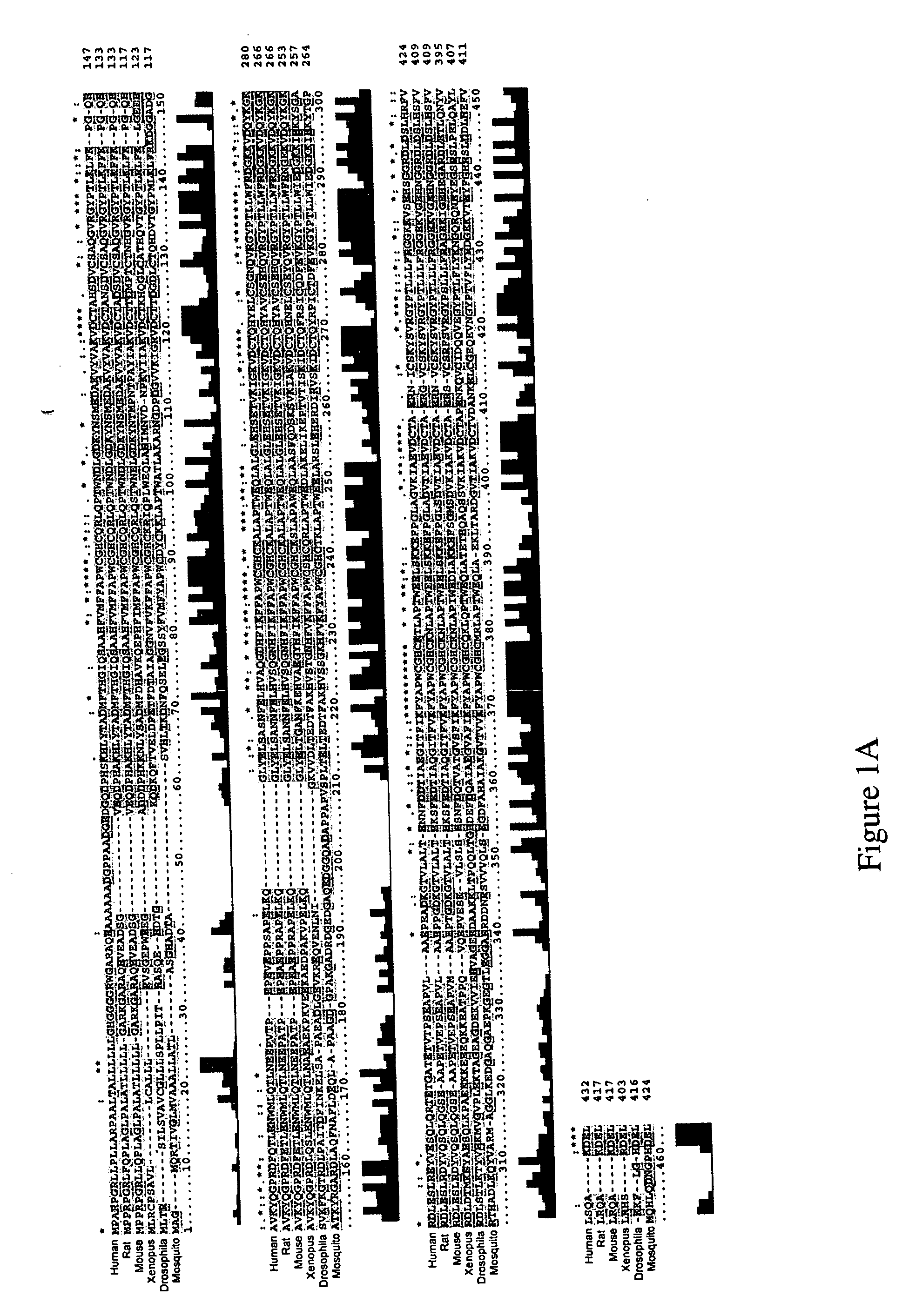 Therapeutic and diagnostic applications of protein disulphide isomerases