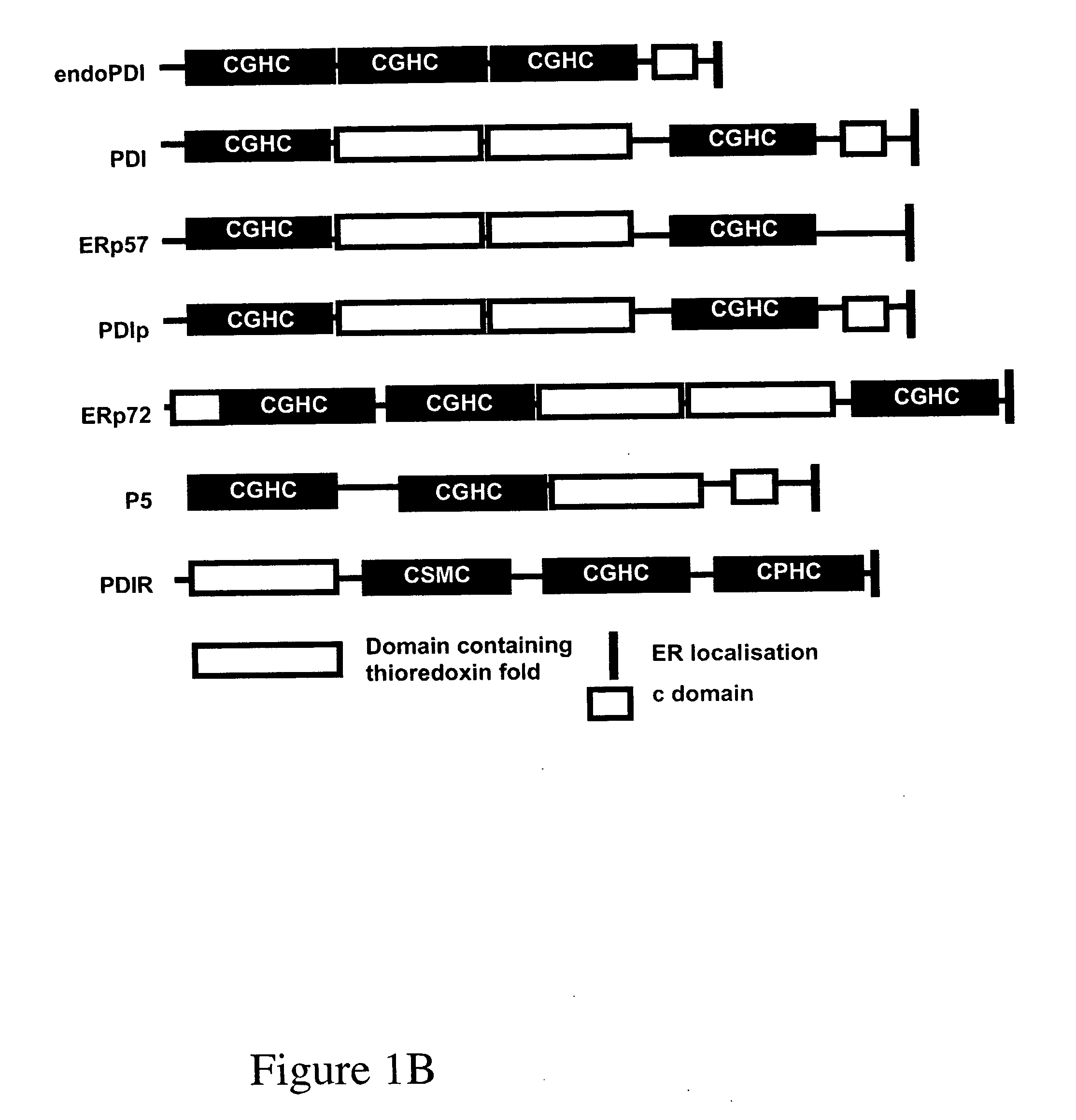 Therapeutic and diagnostic applications of protein disulphide isomerases