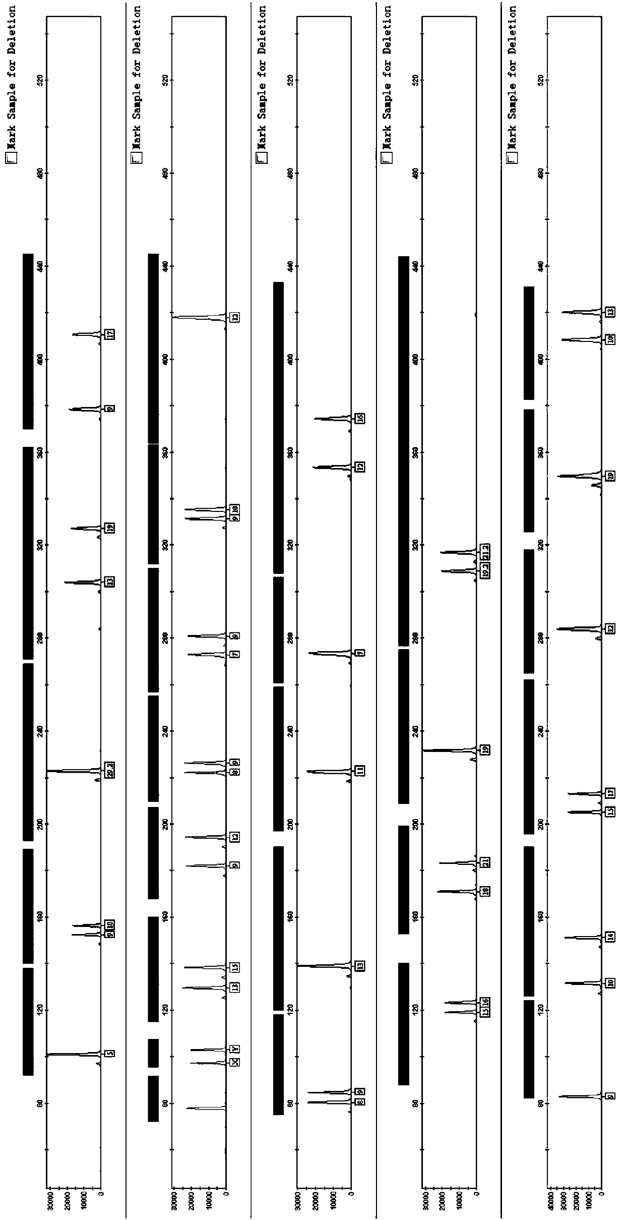 Composite amplification system of 28 short tandem repeats, kit and application thereof