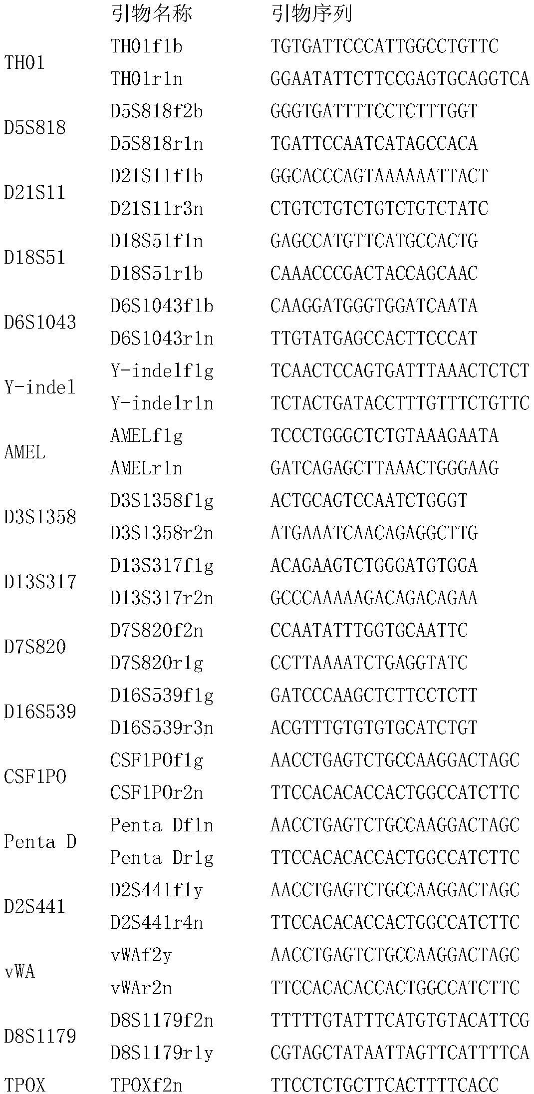 Composite amplification system of 28 short tandem repeats, kit and application thereof