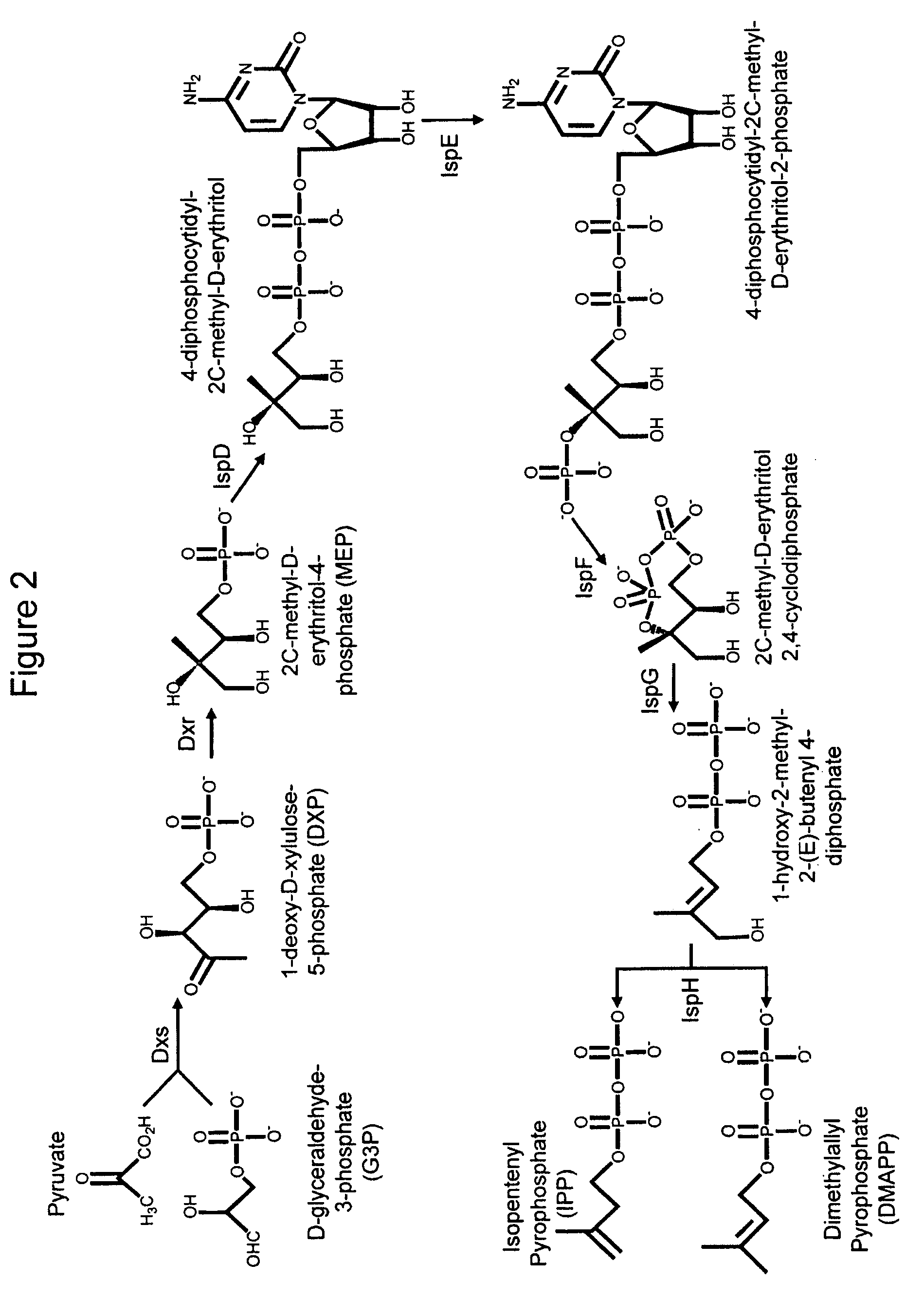 Fuel compositions comprising farnesane and farnesane derivatives and method of making and using same