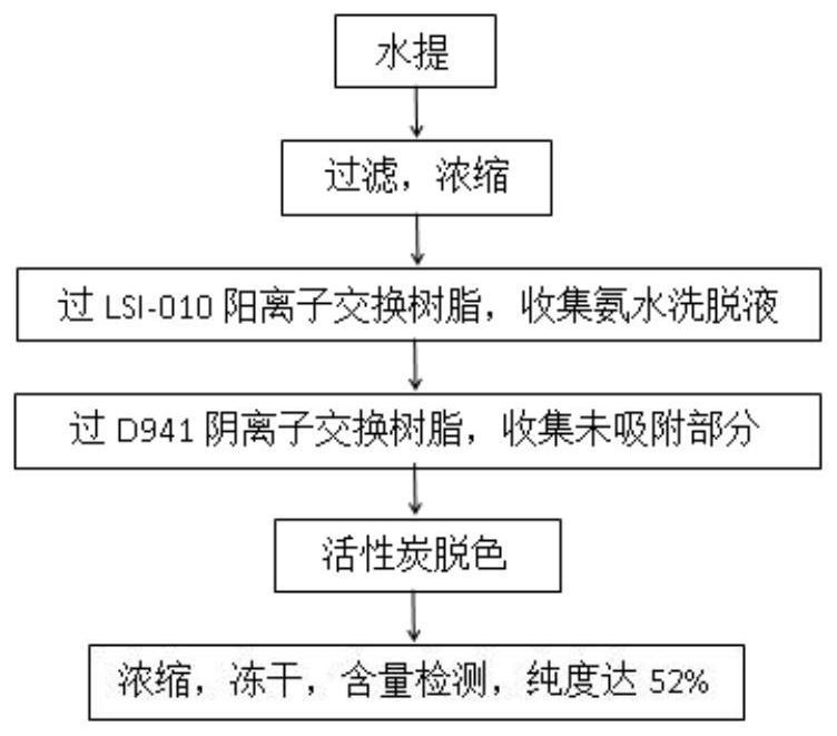 Application of folium mori total alkaloids in preparation of medicine for preventing and treating cerebral ischemia injury