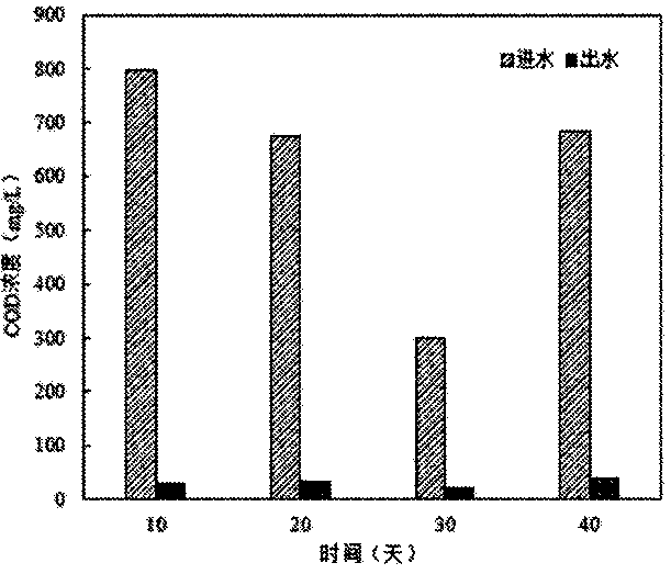 Distributed anaerobic membrane bioreactor