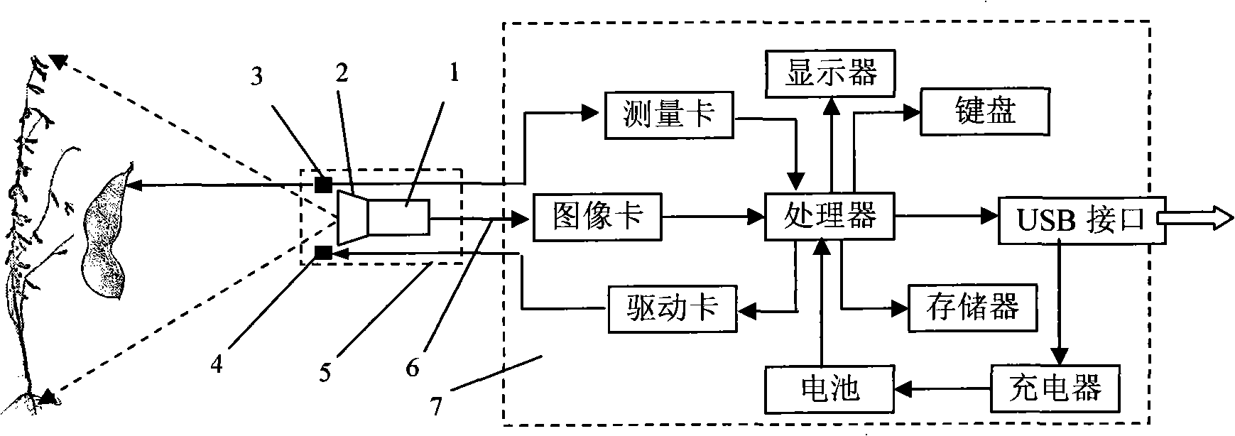 Plant morph parameter vision measurer with automatic calibration function