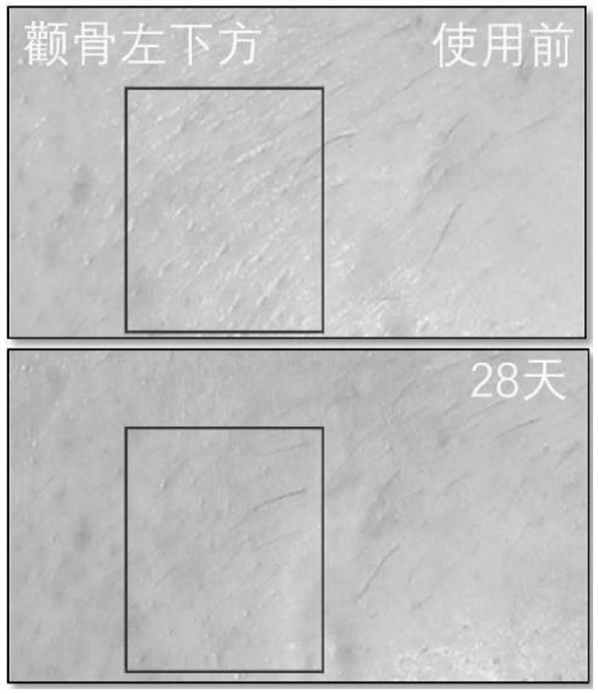 Double-layer shaking essence and preparation method thereof