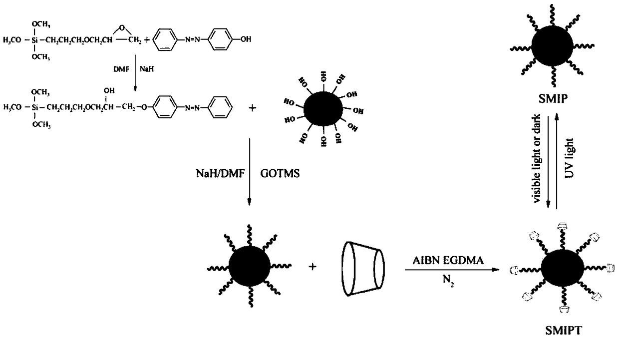 A photoresponsive surface molecularly imprinted material and its preparation method and application