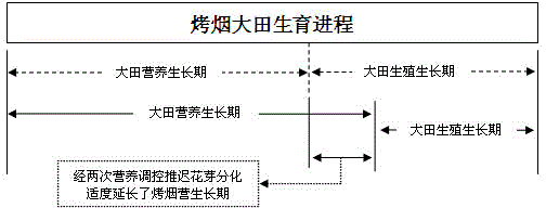 Method for improving tobacco quality by modest extension of vegetative growth period of flue-cured tobaccos