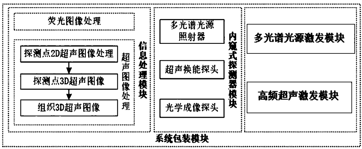 Endoscopic fluorescent ultrasonic fusion radiography navigation system